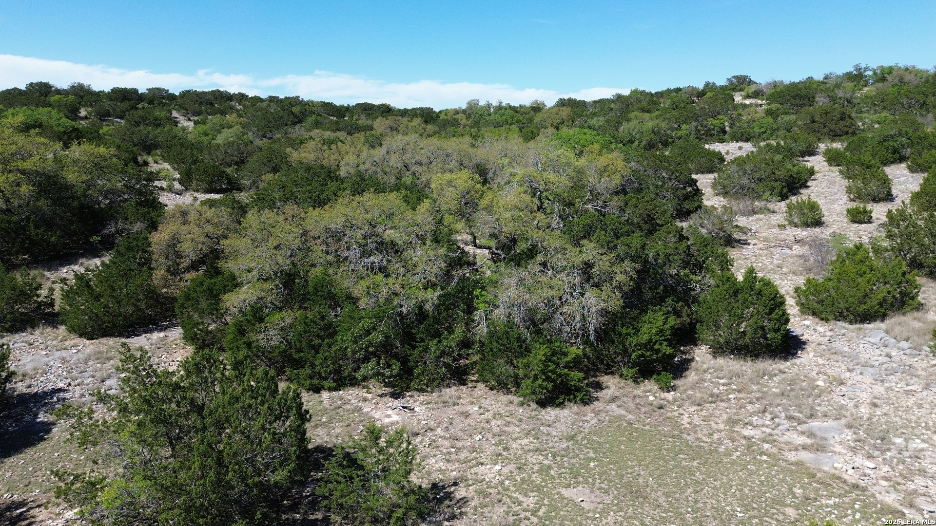 752 Sd 46061 Del Rio, TX 78840 - Photo 7 of 11 a view of a forest with a street