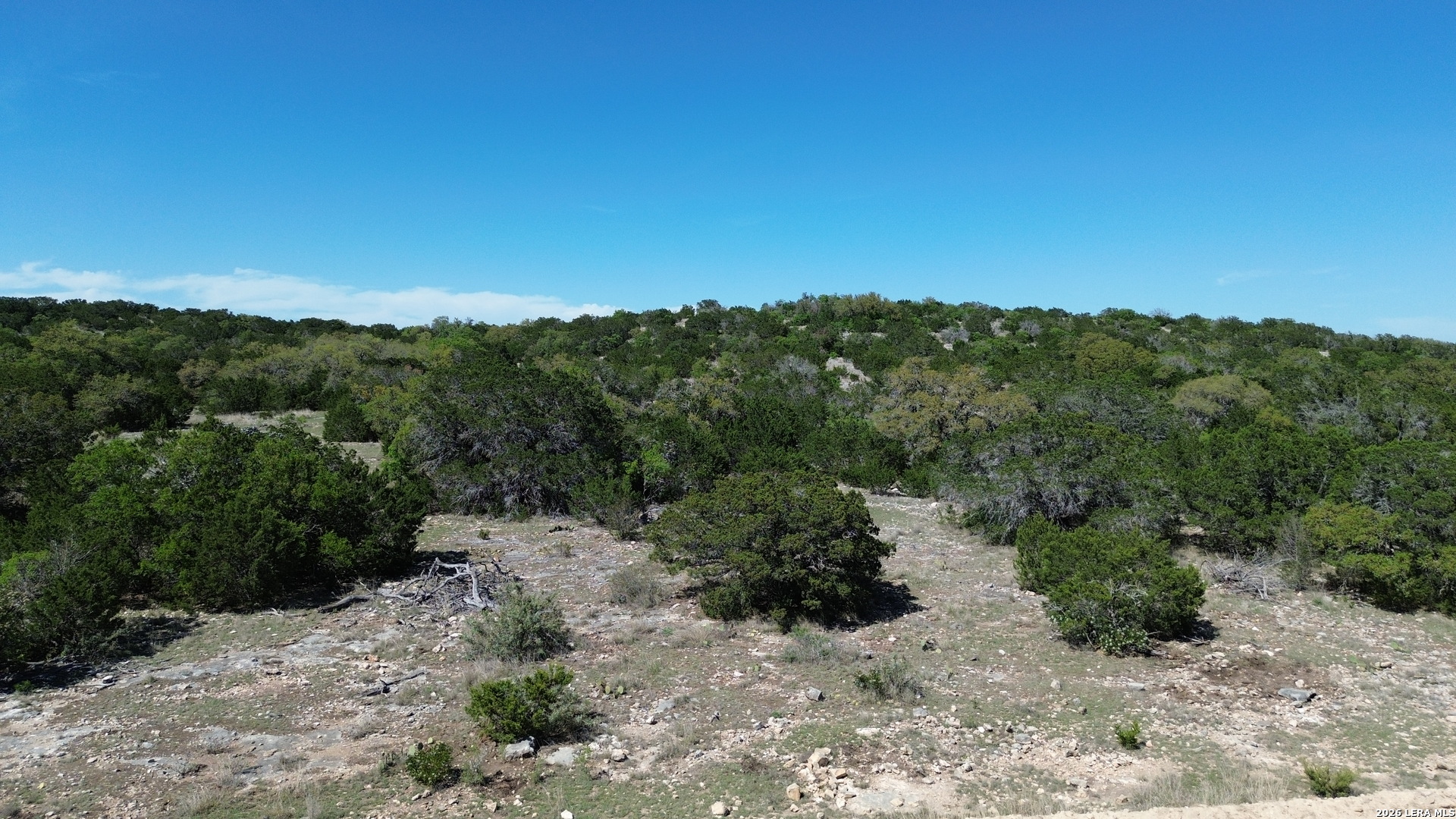 752 Sd 46061 Del Rio, TX 78840 - Photo 8 of 11 a view of a forest with trees in the background