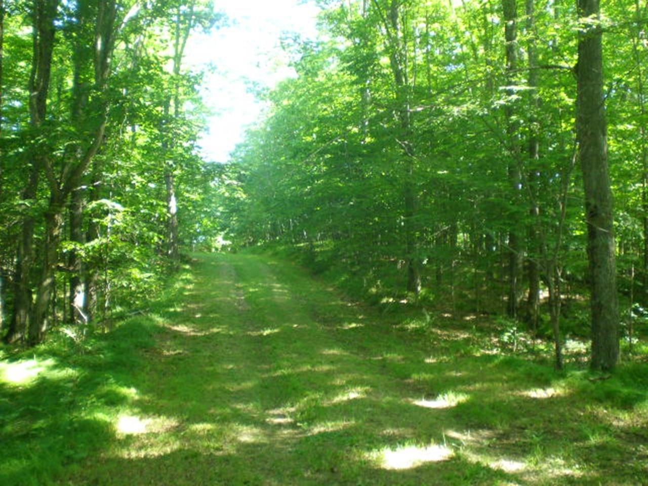 On French Lake Road Park Falls, WI 54552 - Photo 3 of 14 Gallery Image 3