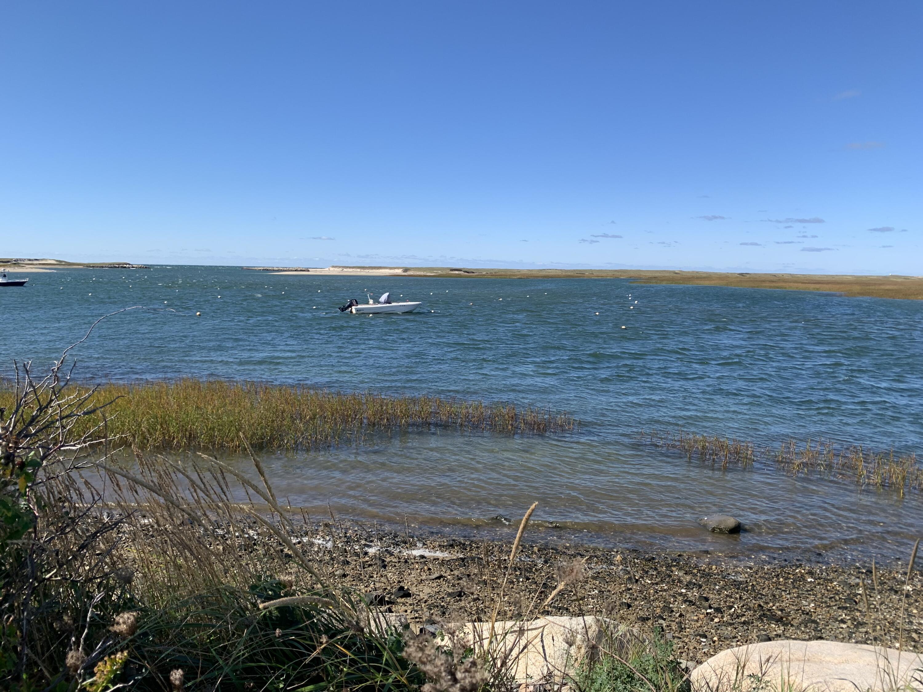 260 Kendrick Avenue, Unit 5 Wellfleet, MA 02667 - Photo 18 of 19 High tide at Mayo Beach