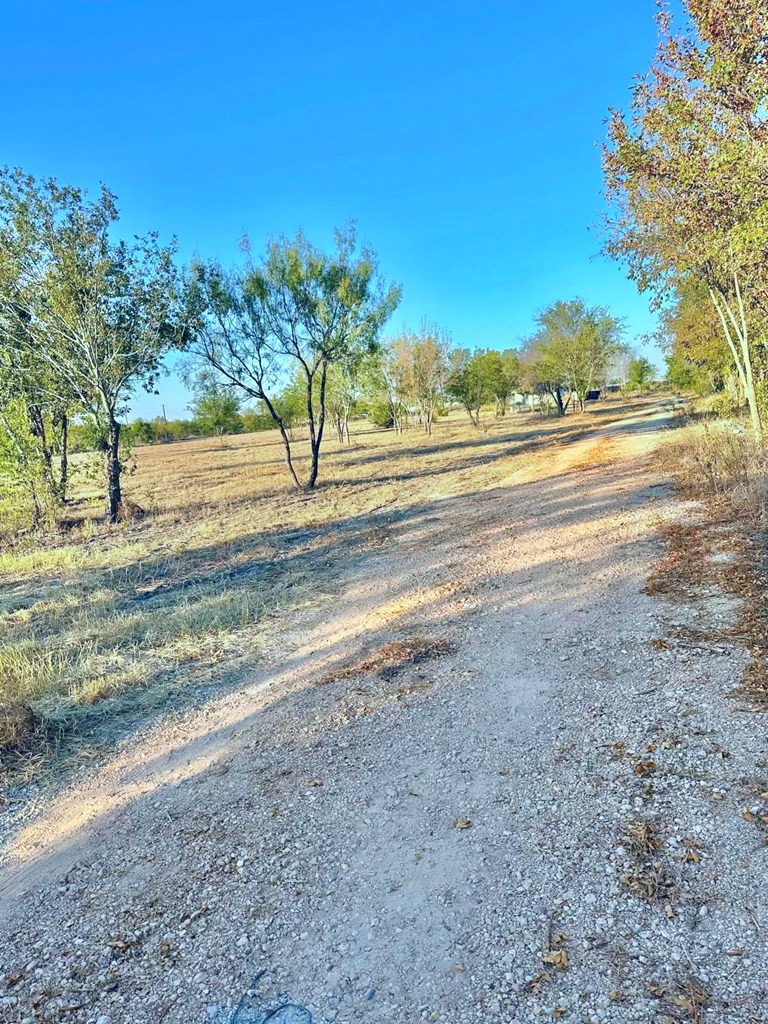 14714 Eiler Road Del Valle, TX 78617 - Photo 5 of 7 a view of a yard