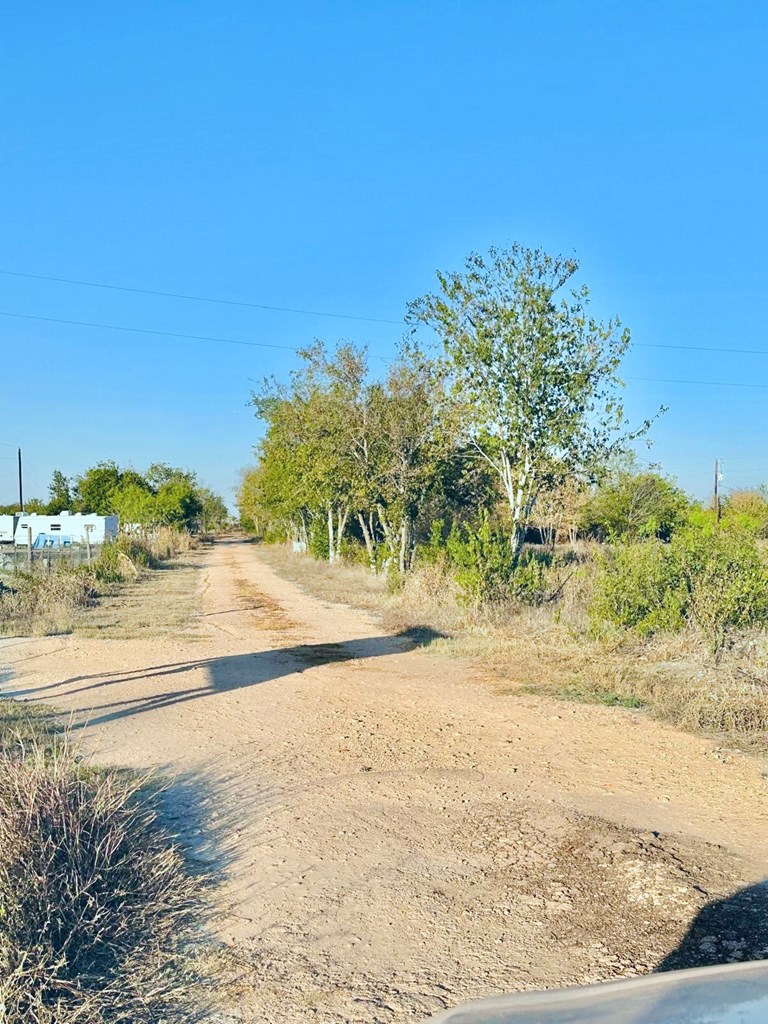 14714 Eiler Road Del Valle, TX 78617 - Photo 6 of 7 a view of a yard with an empty space