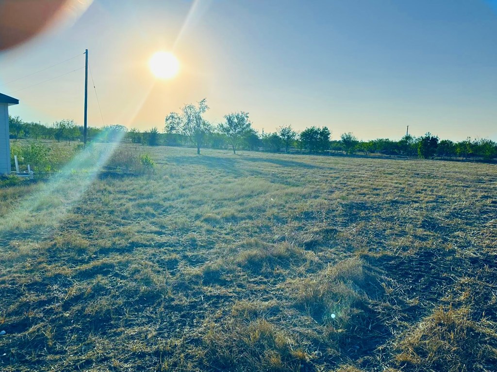 14714 Eiler Road Del Valle, TX 78617 - Photo 7 of 7 a view of an outdoor space and a yard