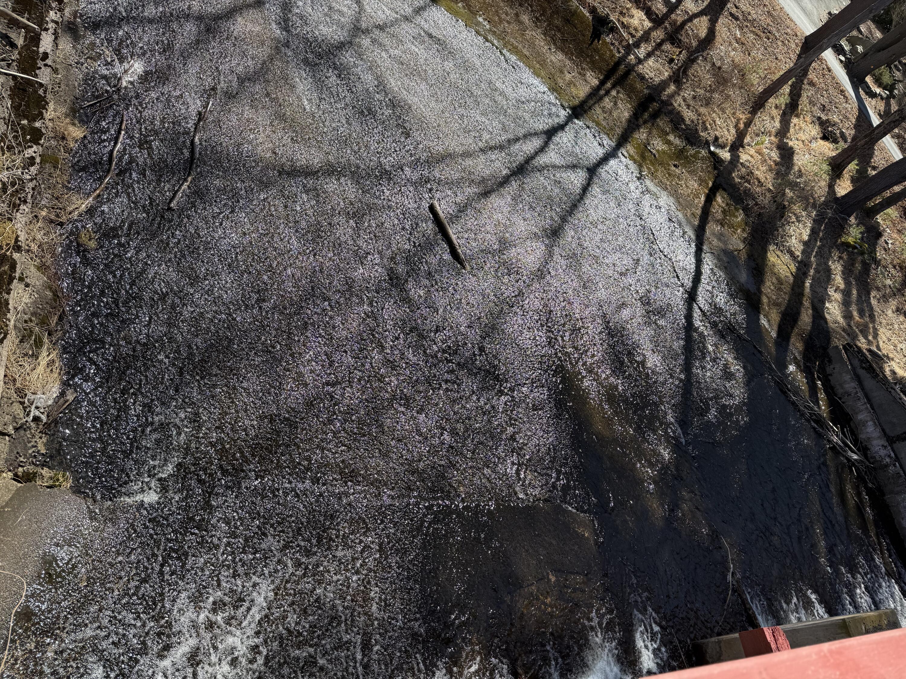 Woodledge Village Woodledge Village Meadow Hawley, PA 18428 - Photo 11 of 22 a view of forest