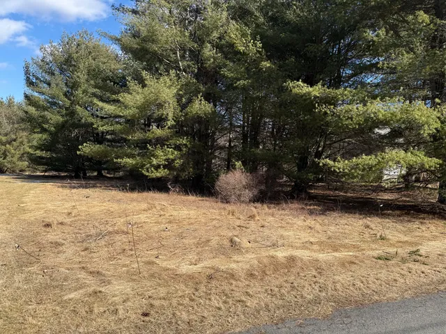 a view of outdoor space and yard