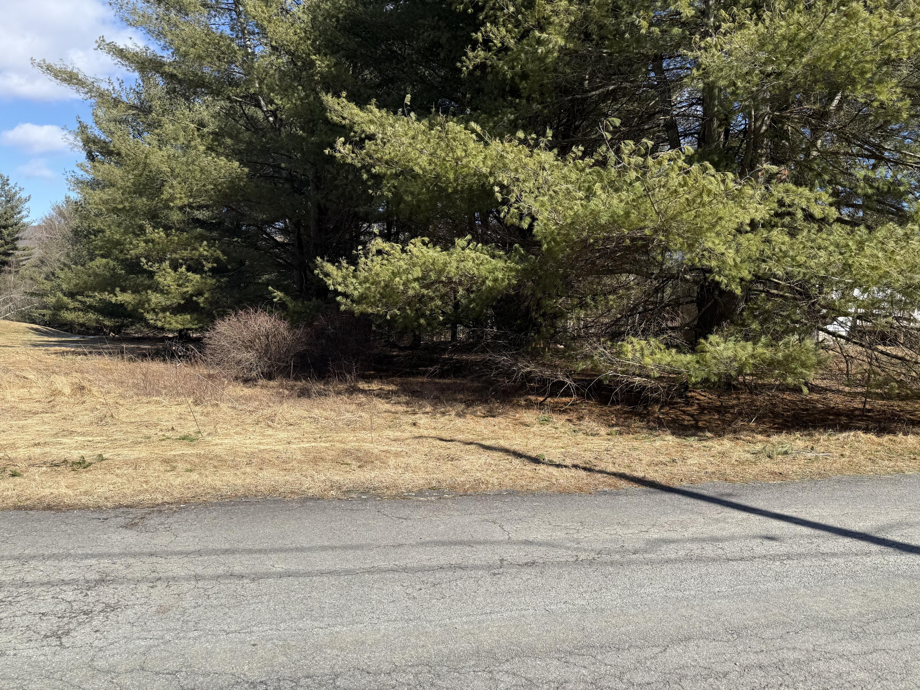 Woodledge Village Woodledge Village Meadow Hawley, PA 18428 - Photo 16 of 22 a view of a yard with an outdoor space