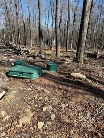 a view of a backyard with of trees