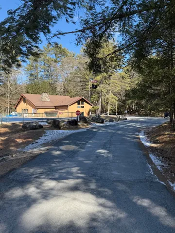 a view of yard with large tree
