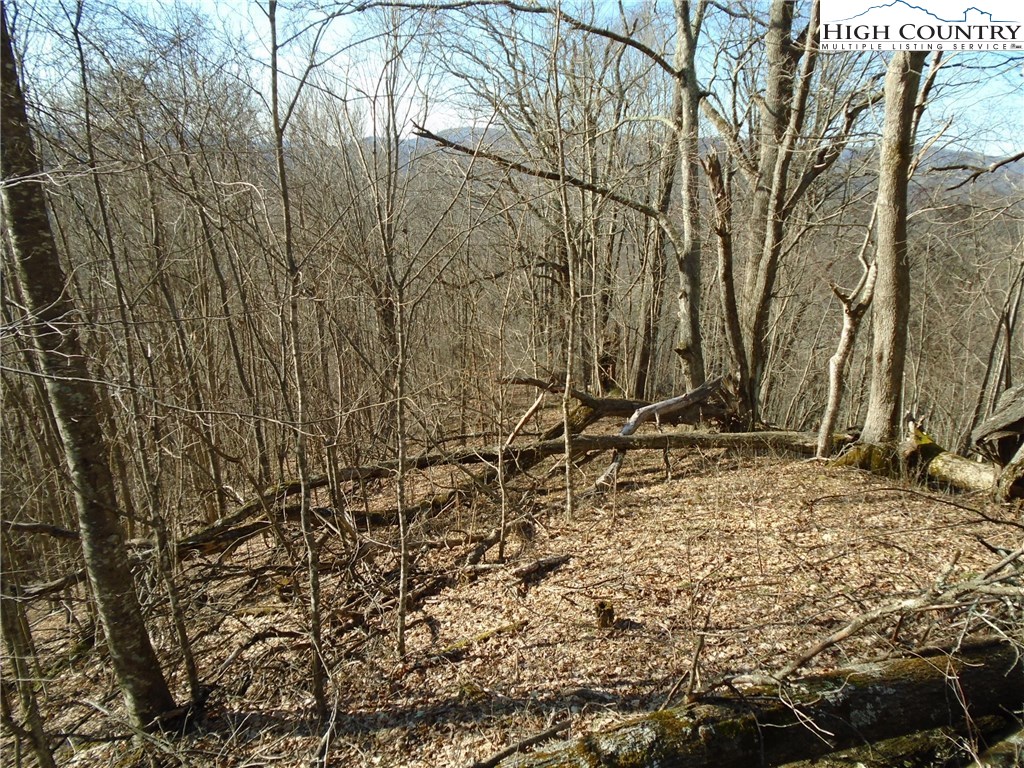 Turkey Ridge Road Vilas, NC 28692 - Photo 1 of 8 Gallery Image 1