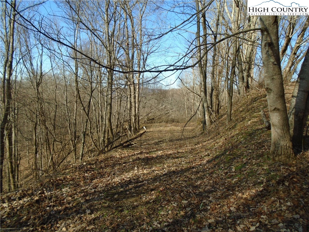 Turkey Ridge Road Vilas, NC 28692 - Photo 2 of 8 Gallery Image 2