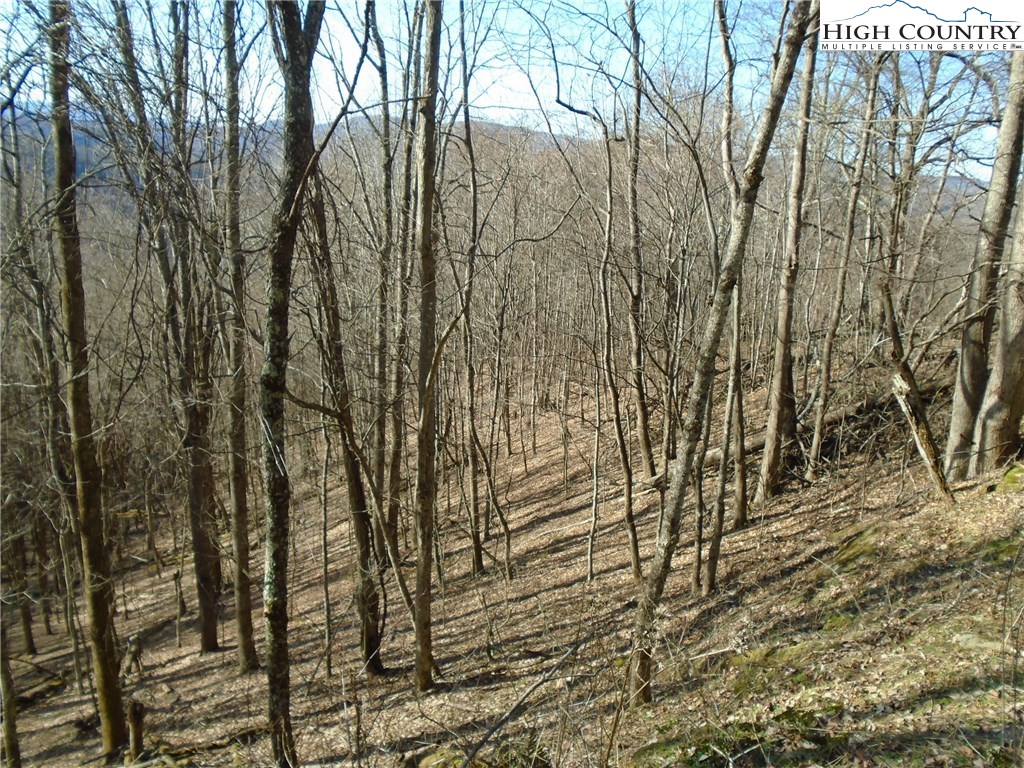 Turkey Ridge Road Vilas, NC 28692 - Photo 3 of 8 Gallery Image 3