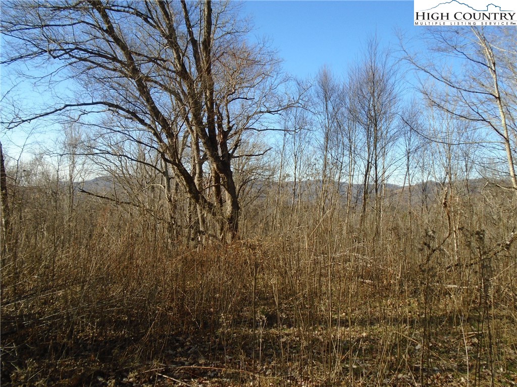 Turkey Ridge Road Vilas, NC 28692 - Photo 5 of 8 Gallery Image 5