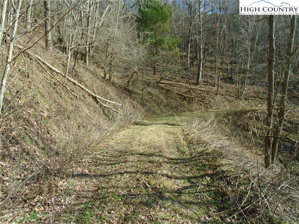 Turkey Ridge Road Vilas, NC 28692 - Photo 7 of 8 Gallery Image 7