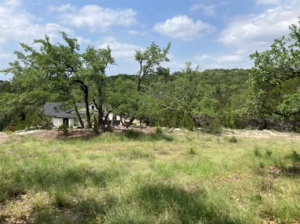 a view of backyard with tree