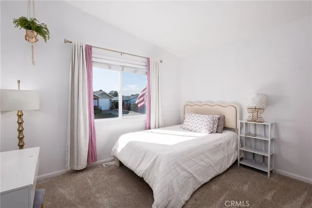 a view of backyard with potted plants and a large tree