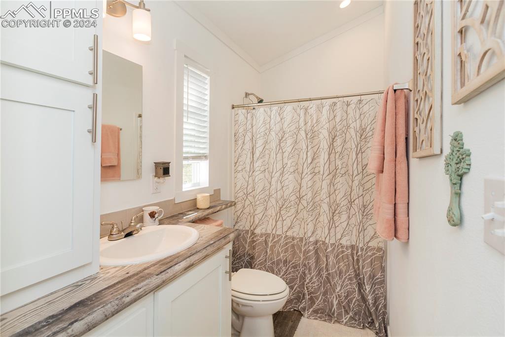 654 Tess Trace Road Guffey, CO 80820 - Photo 32 of 42 a bathroom with a granite countertop sink a toilet and a mirror