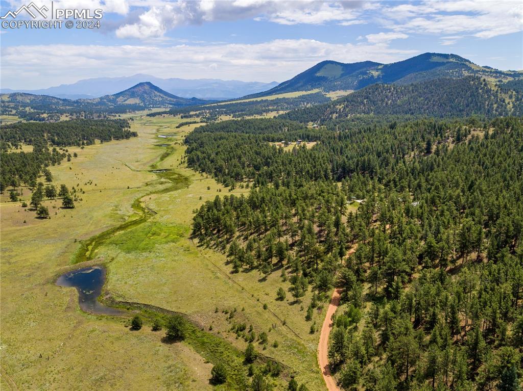 654 Tess Trace Road Guffey, CO 80820 - Photo 38 of 42 a view of lake with mountain