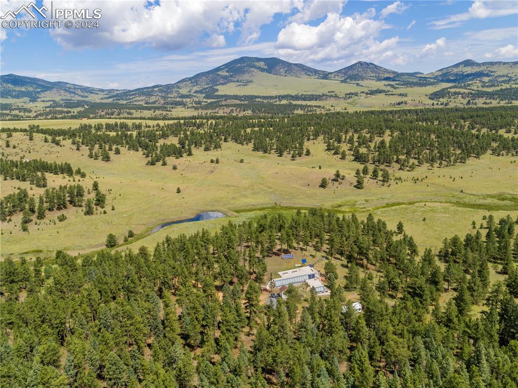 654 Tess Trace Road Guffey, CO 80820 - Photo 40 of 42