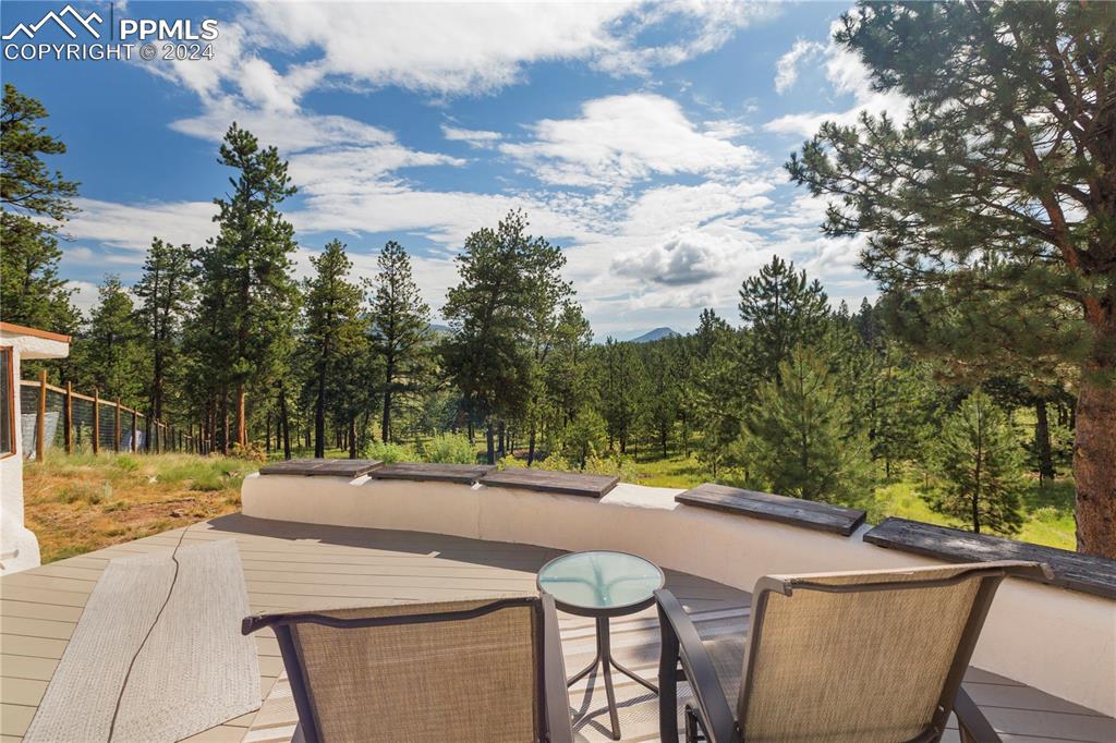 654 Tess Trace Road Guffey, CO 80820 - Photo 4 of 42 a view of a backyard