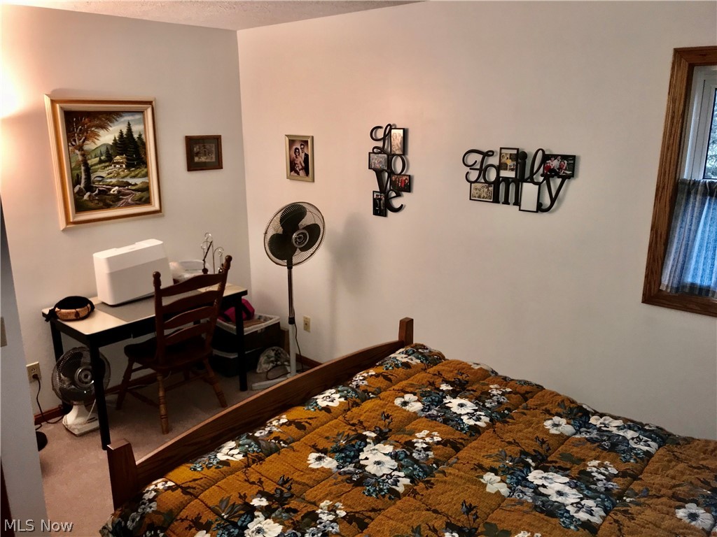 39610 Whitney Road Lagrange, OH 44050 - Photo 16 of 35 Gallery Image 16