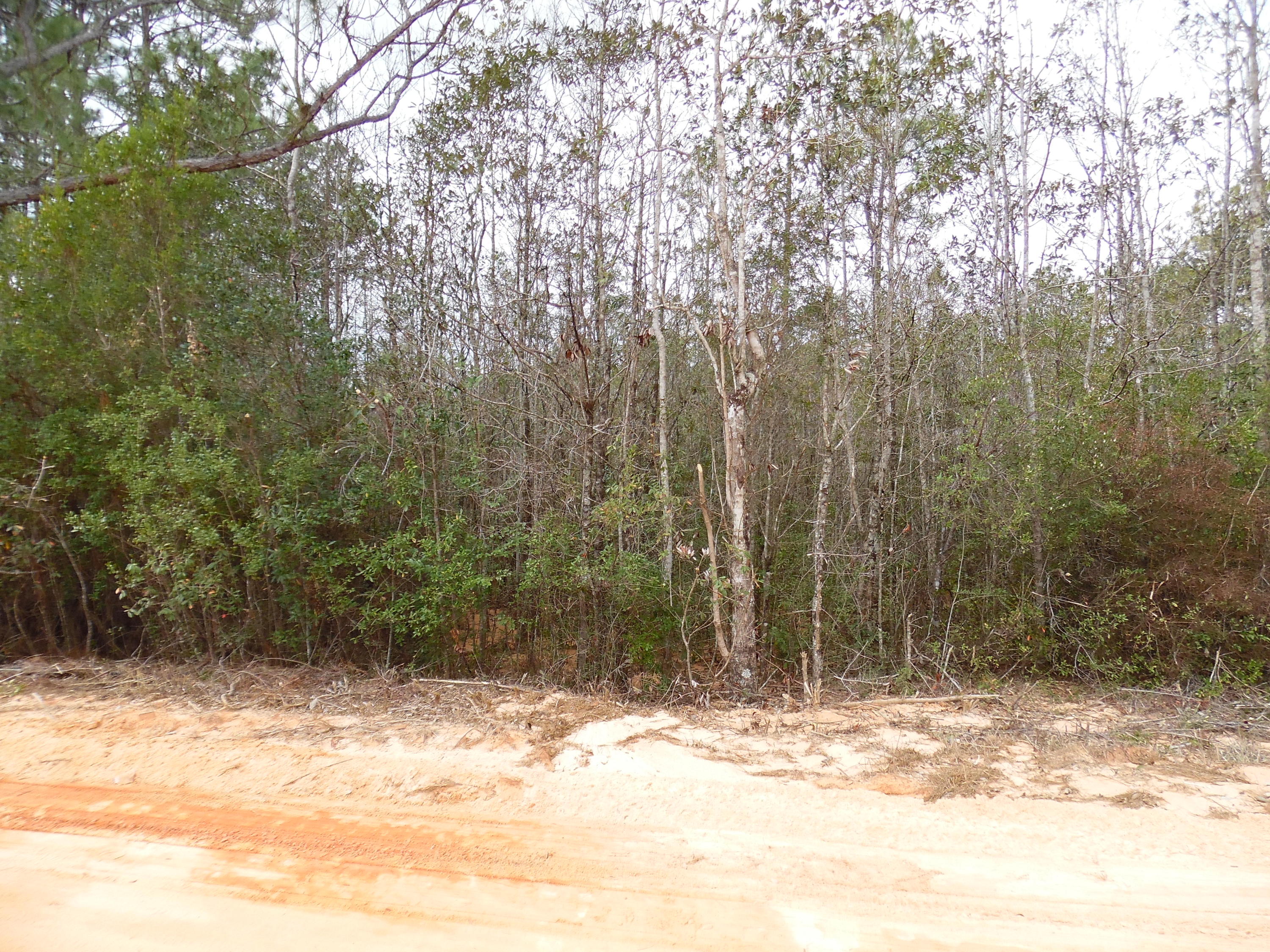 Lot67-blk68 Blue Ridge Boulevard DeFuniak Springs, FL 32433 - Photo 1 of 6 a view of a yard covered with snow