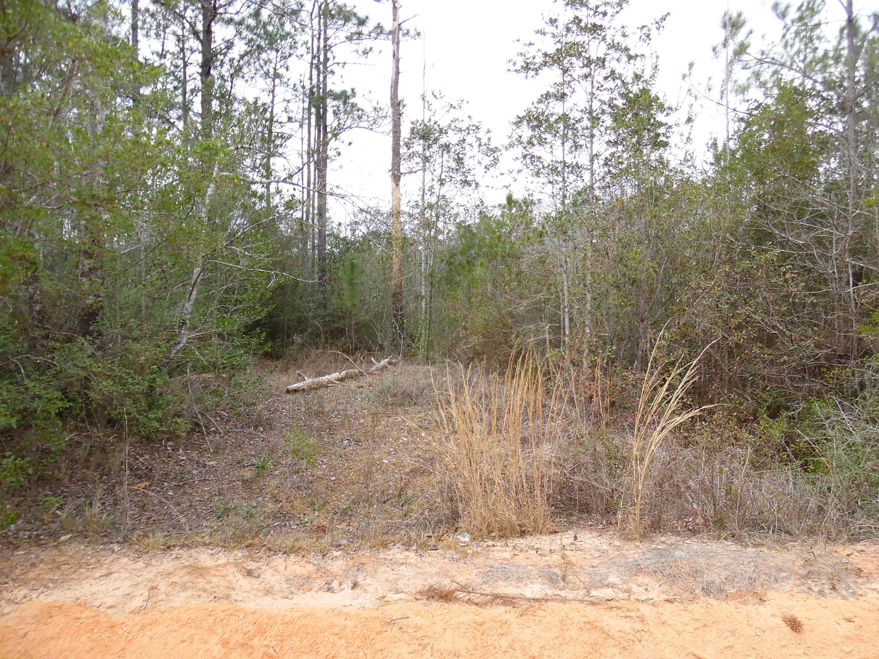 Lot67-blk68 Blue Ridge Boulevard DeFuniak Springs, FL 32433 - Photo 5 of 6 a view of a yard
