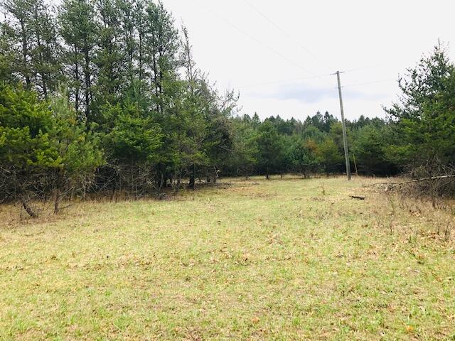 19 19 Mile Road Barryton, MI 49305 - Photo 2 of 6 2. Lot view 1