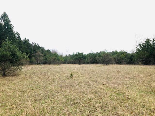 19 19 Mile Road Barryton, MI 49305 - Photo 5 of 6 5. Lot view 4