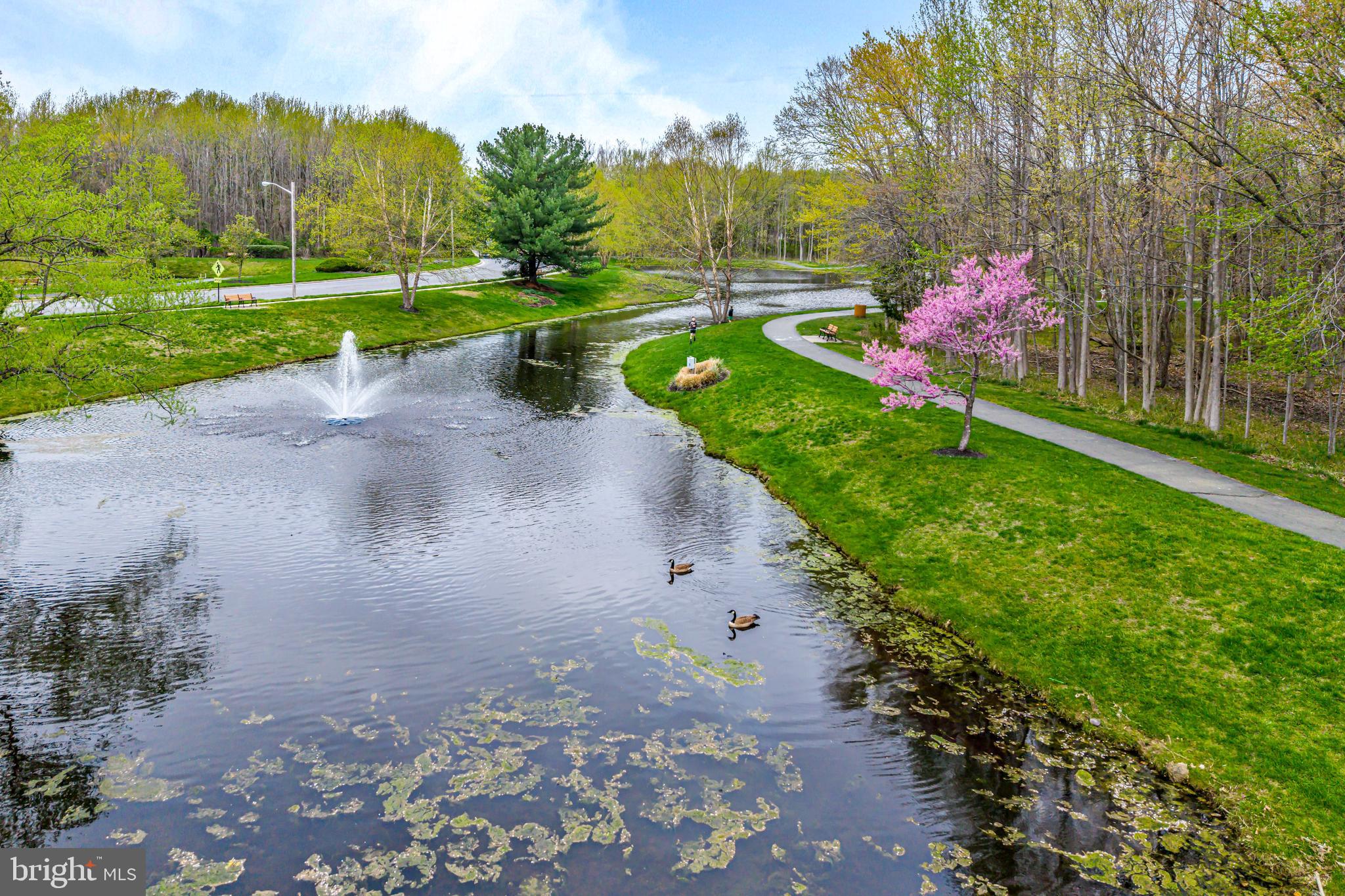 3305A Ramsbury Court Mount Laurel, NJ 08054 - Photo 23 of 27 a view of a park with large trees