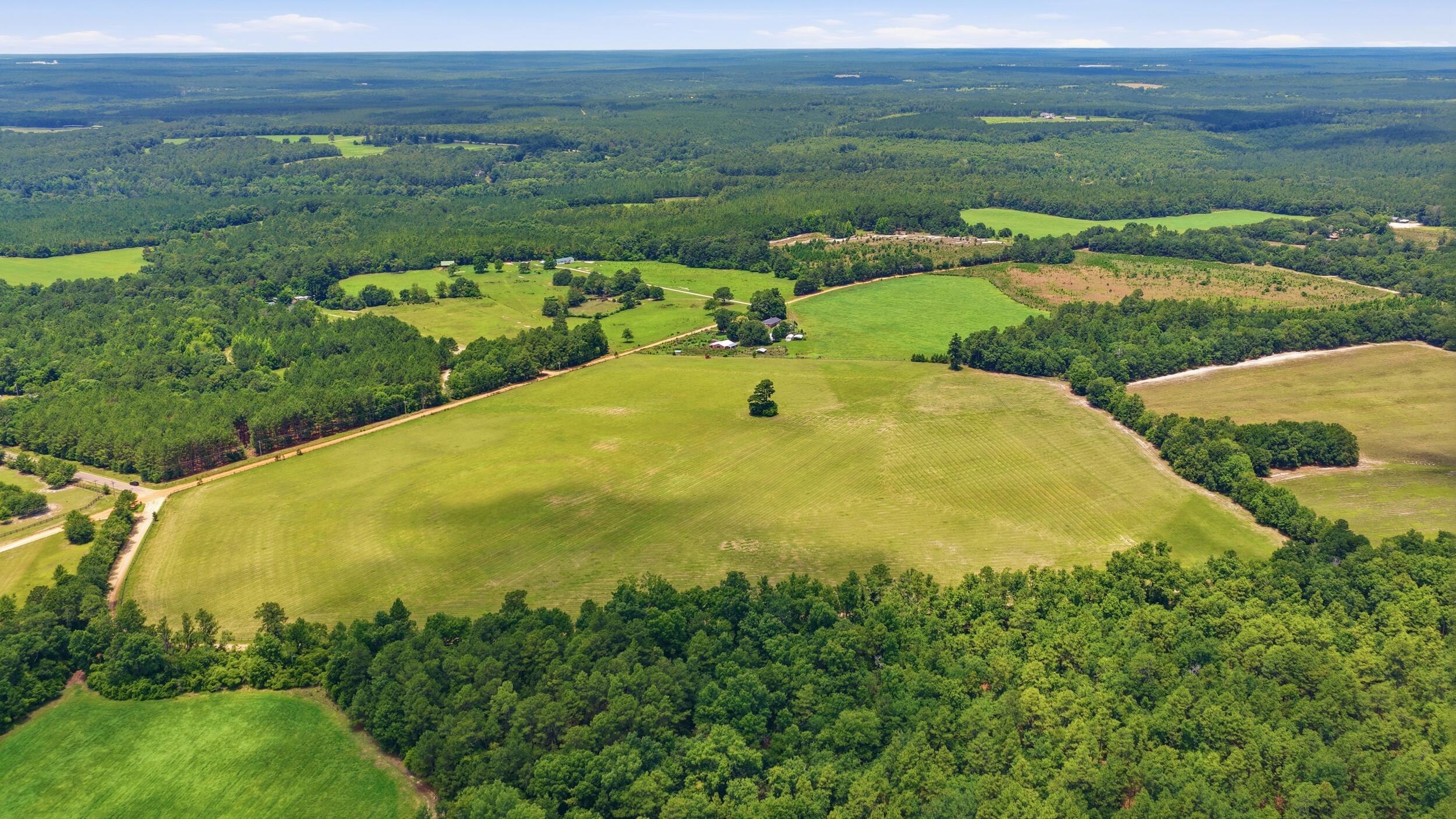 0 Bodie Road Wagener, SC 29164 - Photo 13 of 21