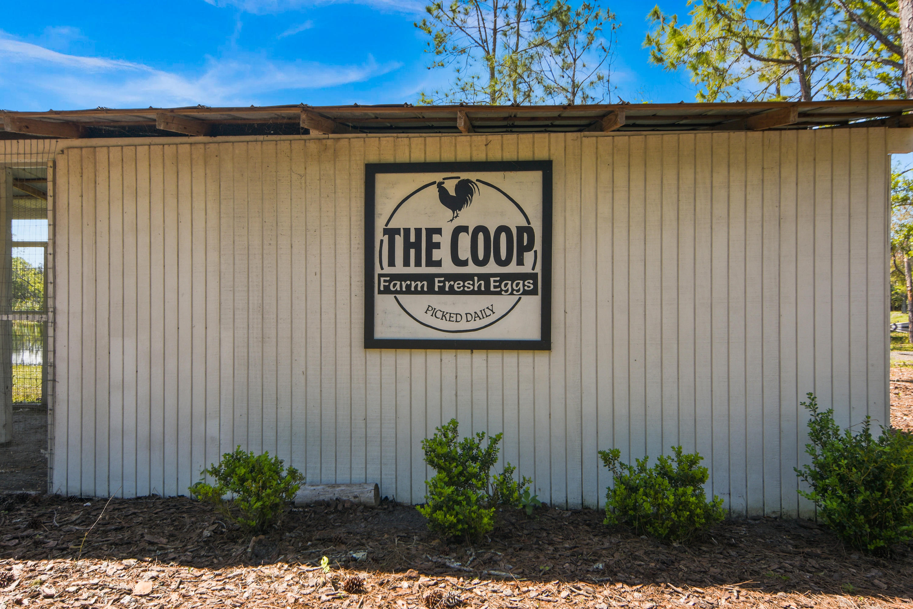 440 Leeway Trail Ormond Beach, FL 32174 - Photo 26 of 32 DSC_0151