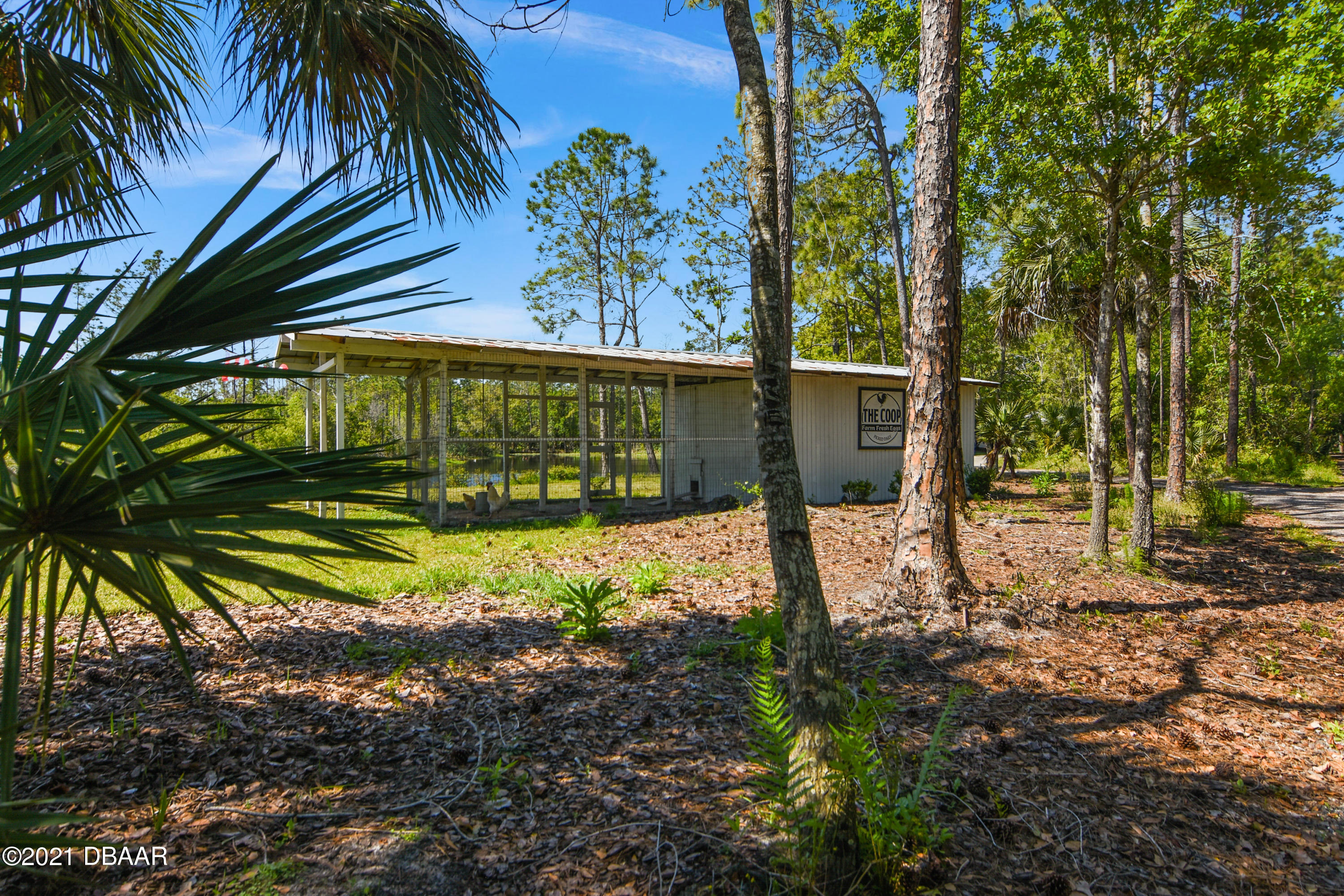 440 Leeway Trail Ormond Beach, FL 32174 - Photo 27 of 32 DSC_0161