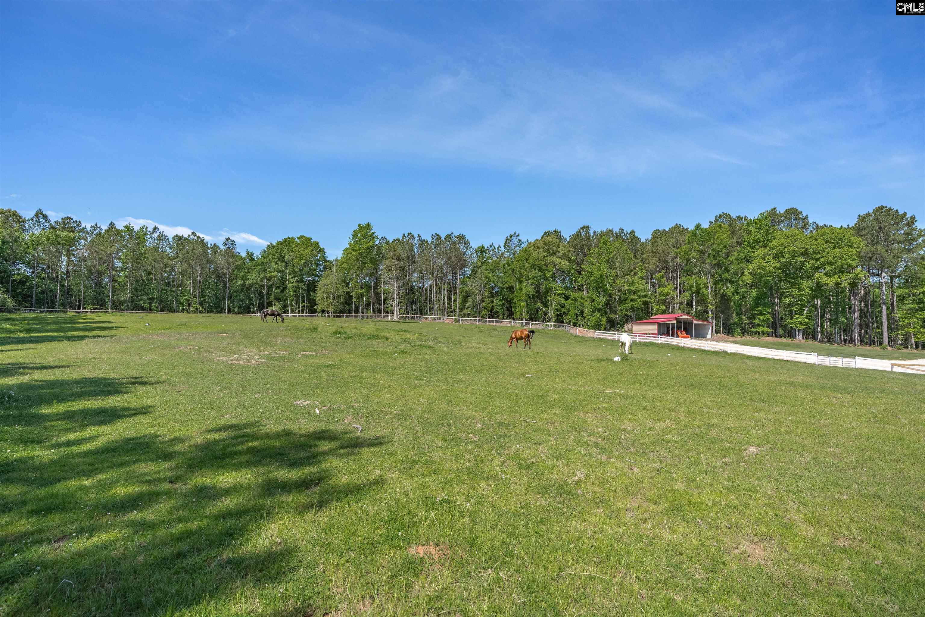 266 Middlefield Road Little Mountain, SC 29075 - Photo 55 of 69