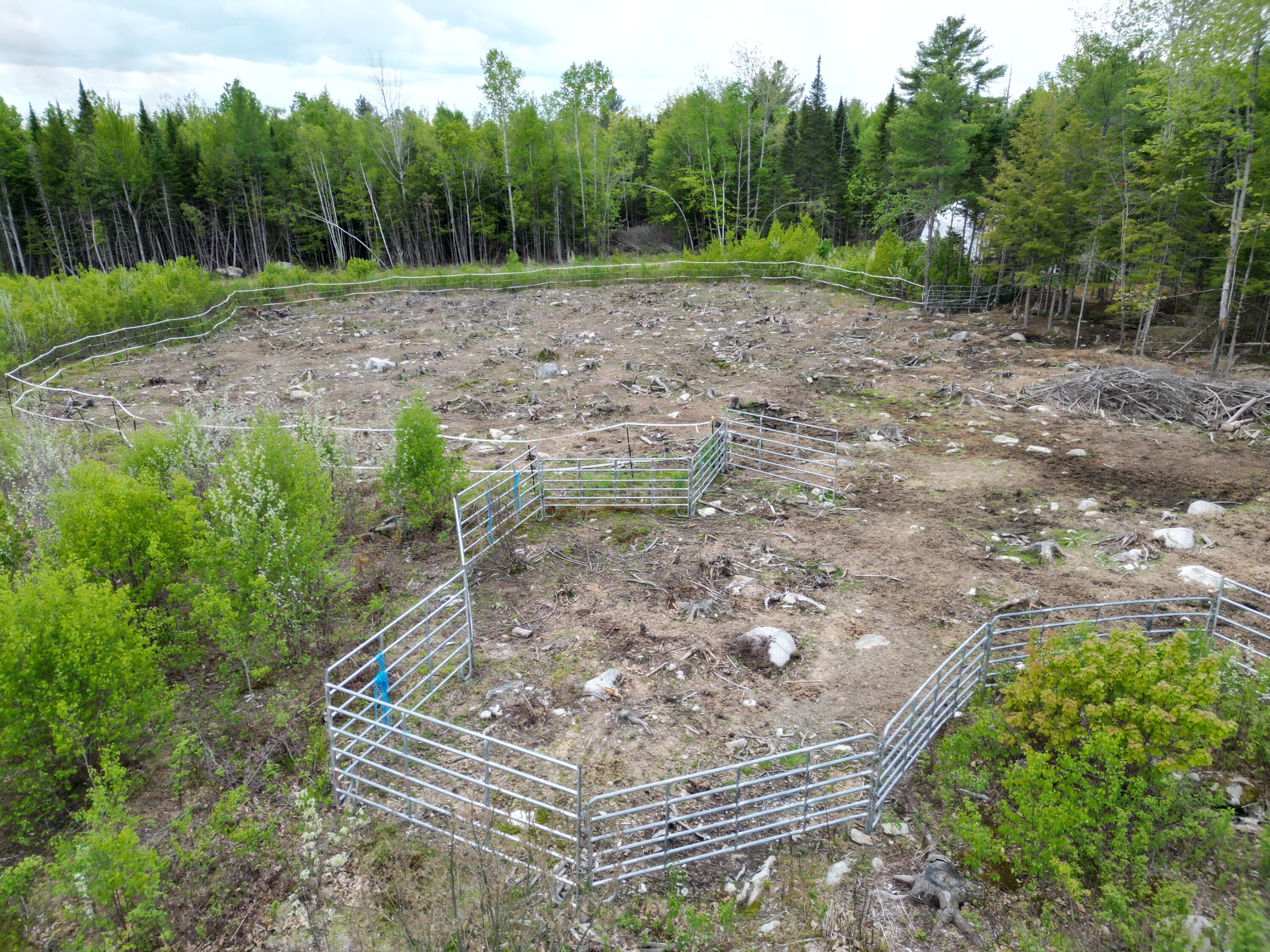 525 River Road Mattawamkeag, ME 04459 - Photo 2 of 32 DJI_0638