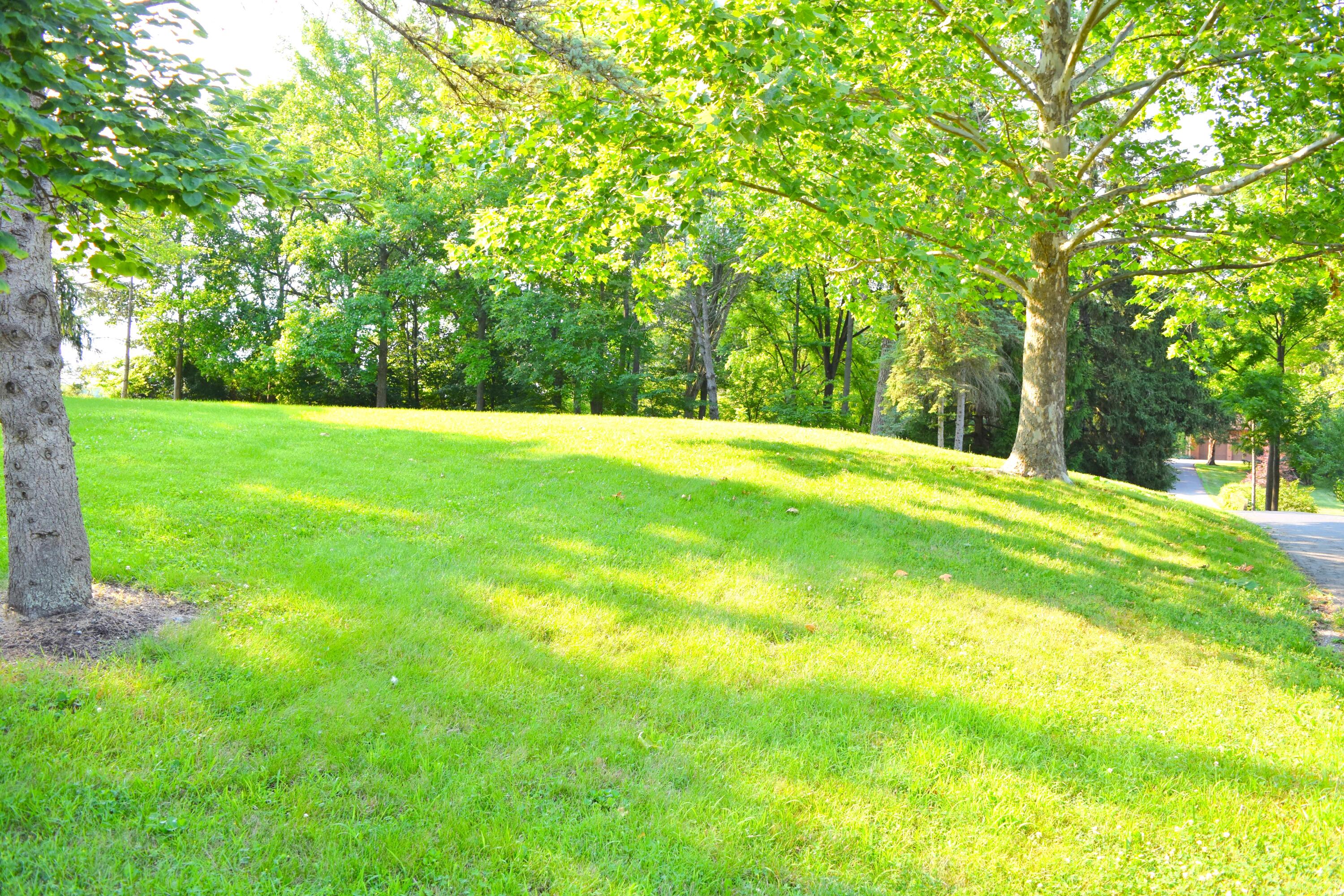 3235 Ziegler Road Piqua, OH 45356 - Photo 71 of 73 DSC_0146