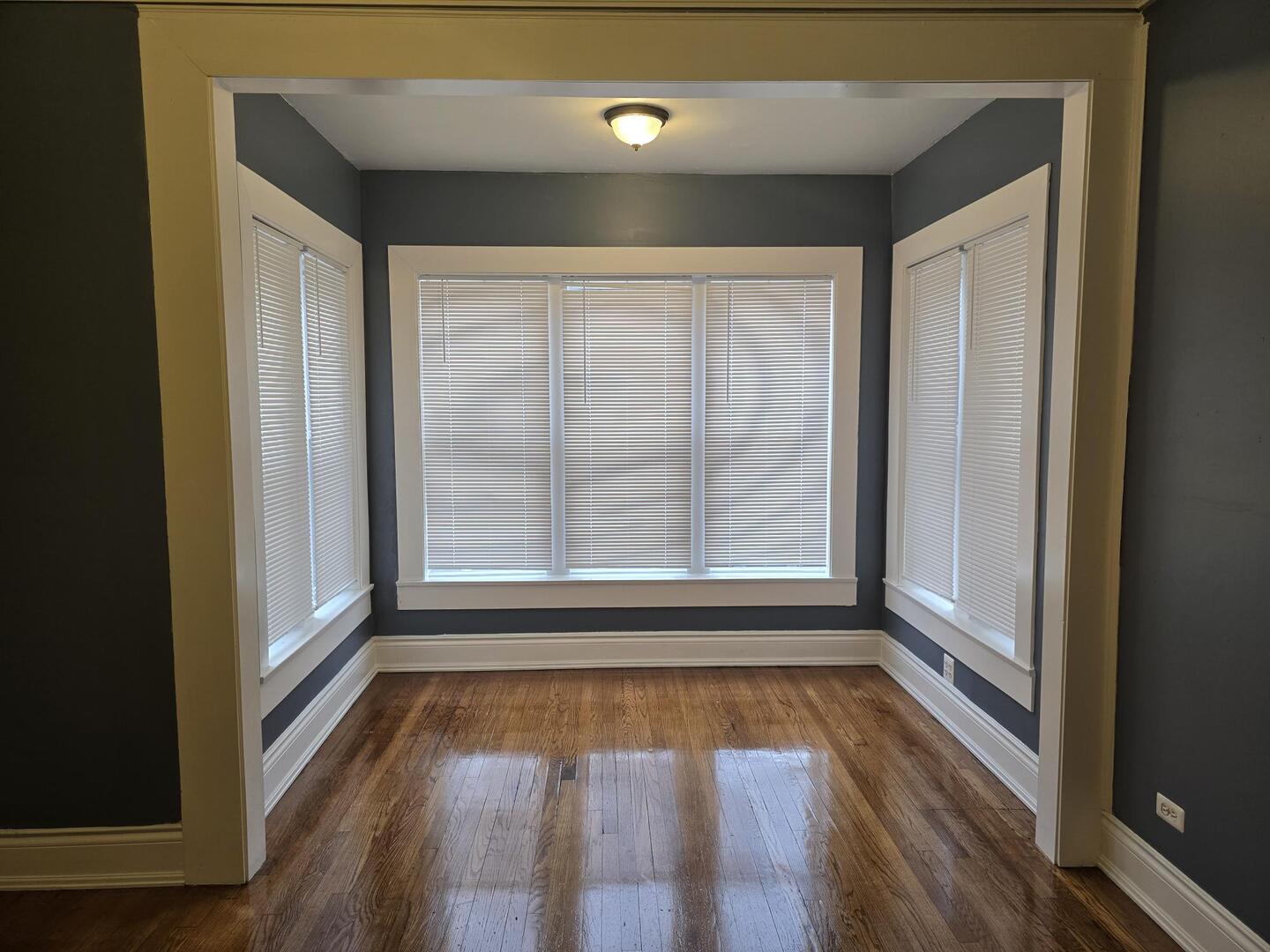 7317 South Union Avenue Chicago, IL 60621 - Photo 12 of 26 a view of a room with wooden floor and window