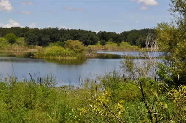 a view of a lake with a mountain in the background