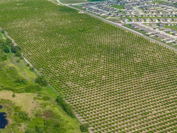 a view of a garden from a balcony