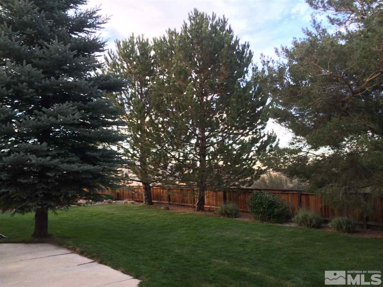 4811 East Creek Ridge Trail Reno, NV 89519 - Photo 22 of 25 a backyard of a house with lots of green space and fountain