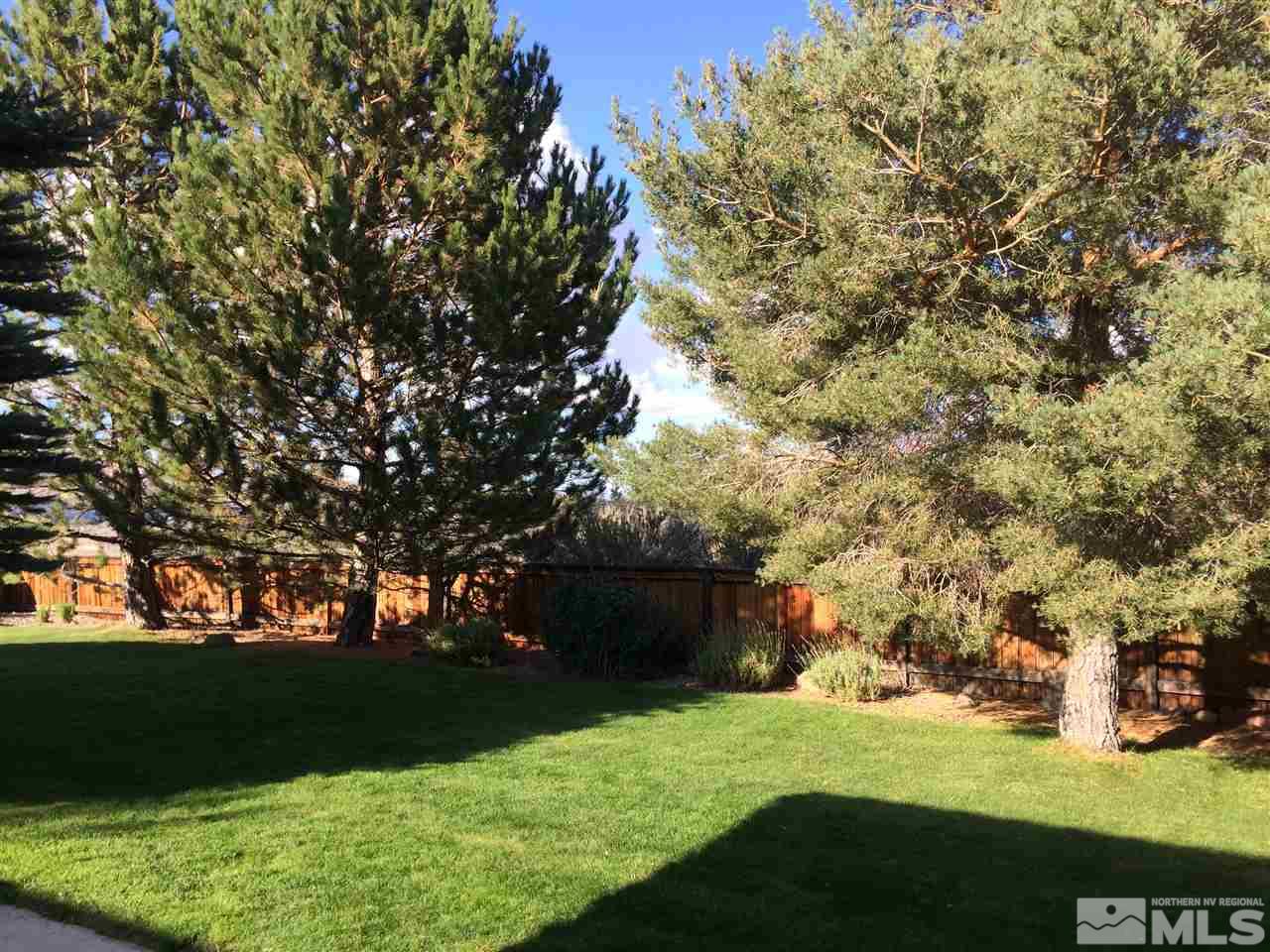 4811 East Creek Ridge Trail Reno, NV 89519 - Photo 5 of 25 a backyard of a house with lots of green space