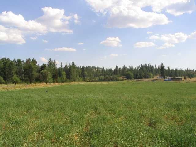 0 East Blanchard Road, Unit LOT B Elk, WA 99009 - Photo 1 of 2 Gallery Image 1