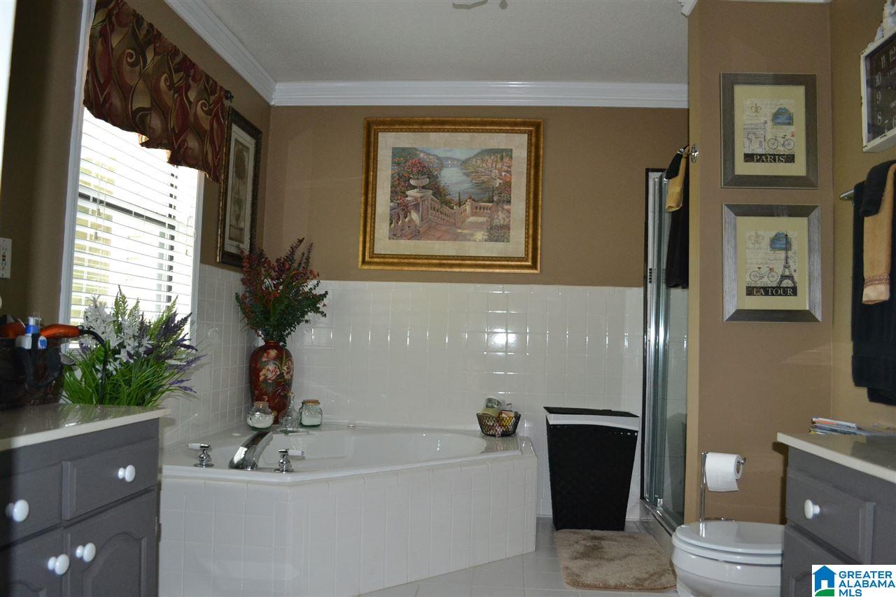 164 Tiny Kingdom Road Remlap, AL 35133 - Photo 29 of 48 Gallery Image 29