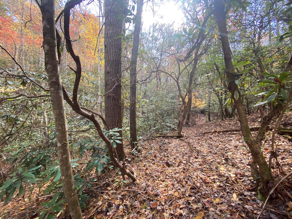 Lot 72 Rainy Farm Road Murphy, NC 28906 - Photo 13 of 17