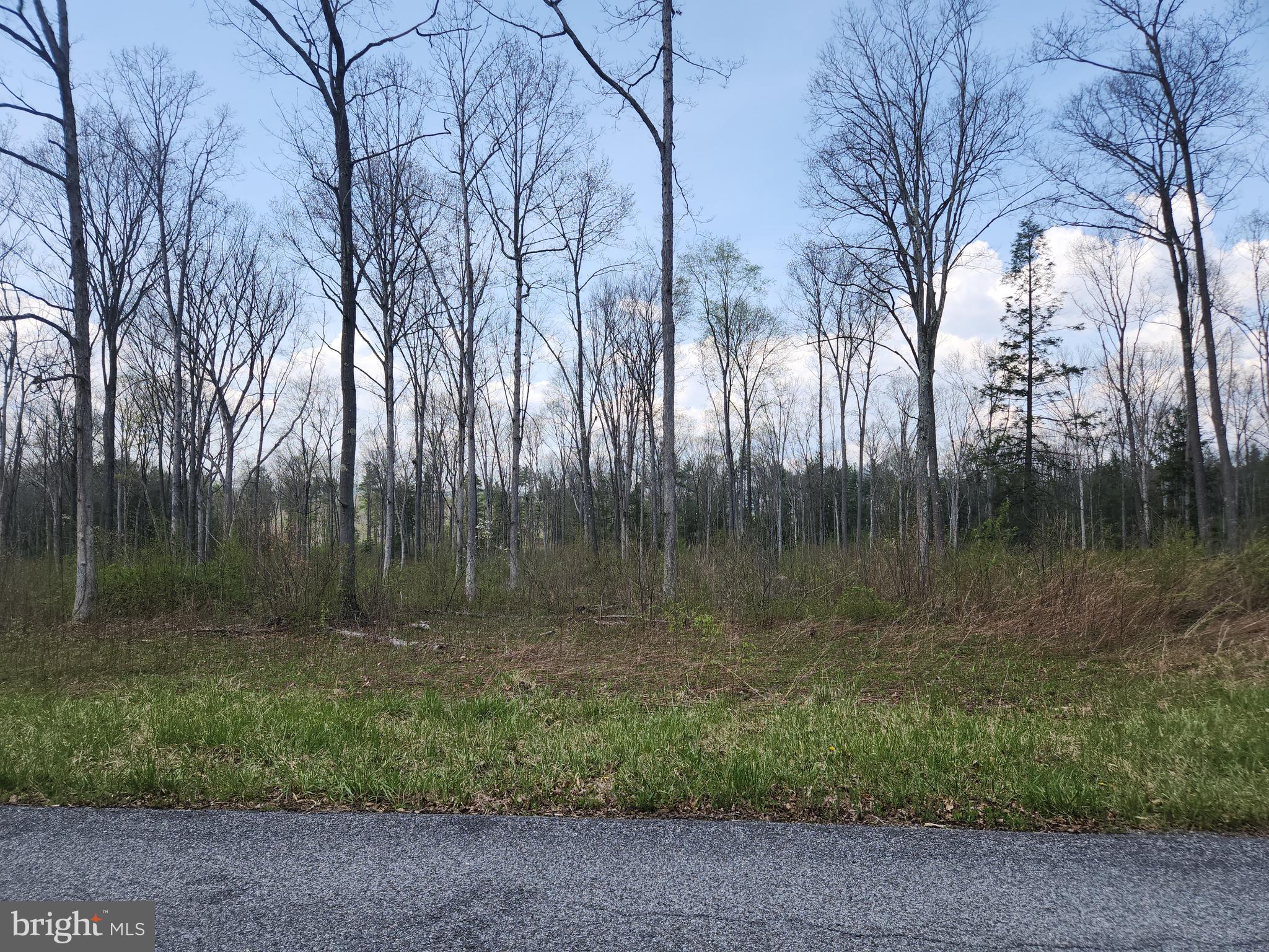 Lot 3 Fickes Road Imler, PA 16655 - Photo 3 of 9