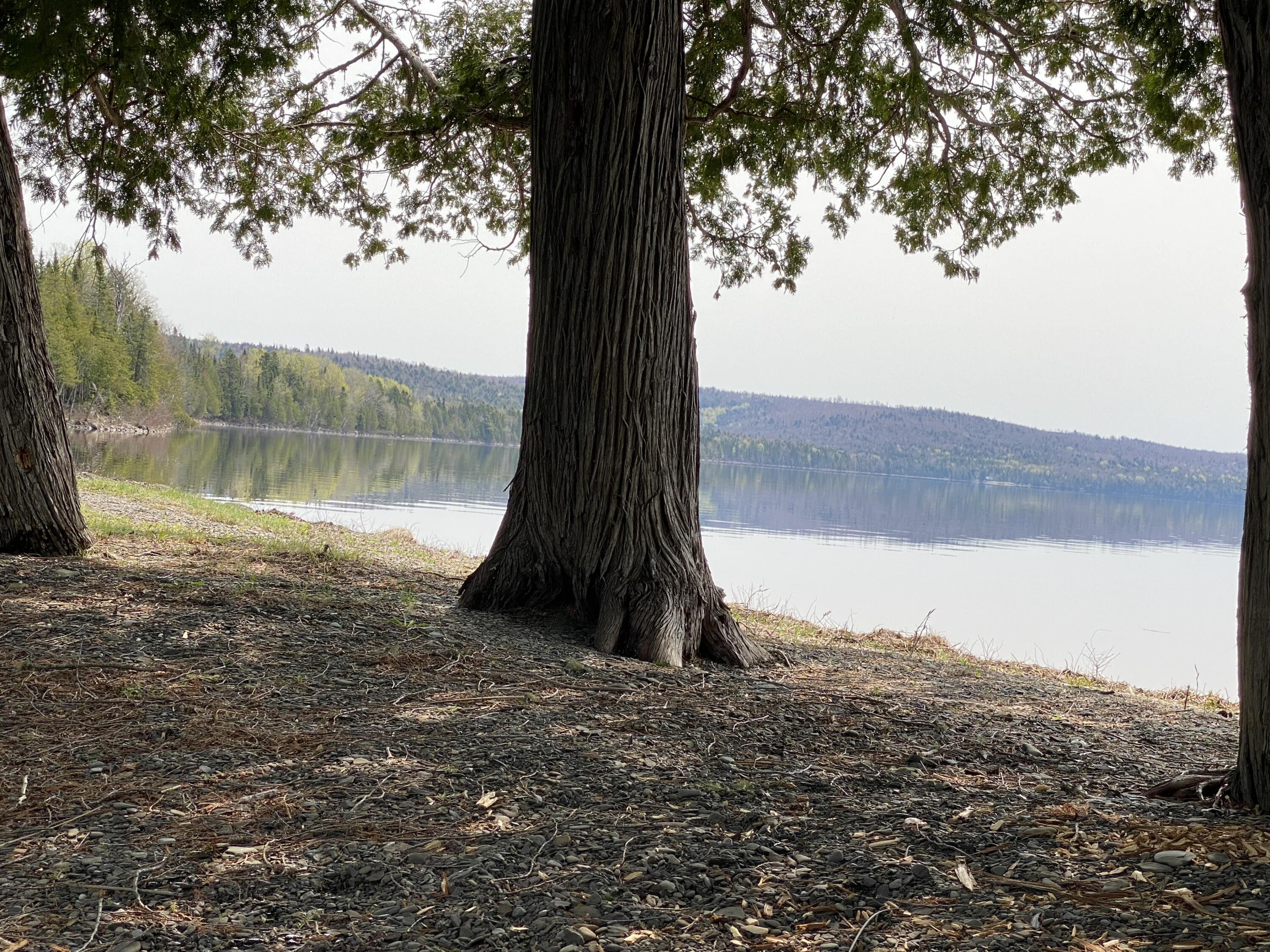 1 Square Lake Sinclair, ME 04779 - Photo 107 of 143 Fraser Camps