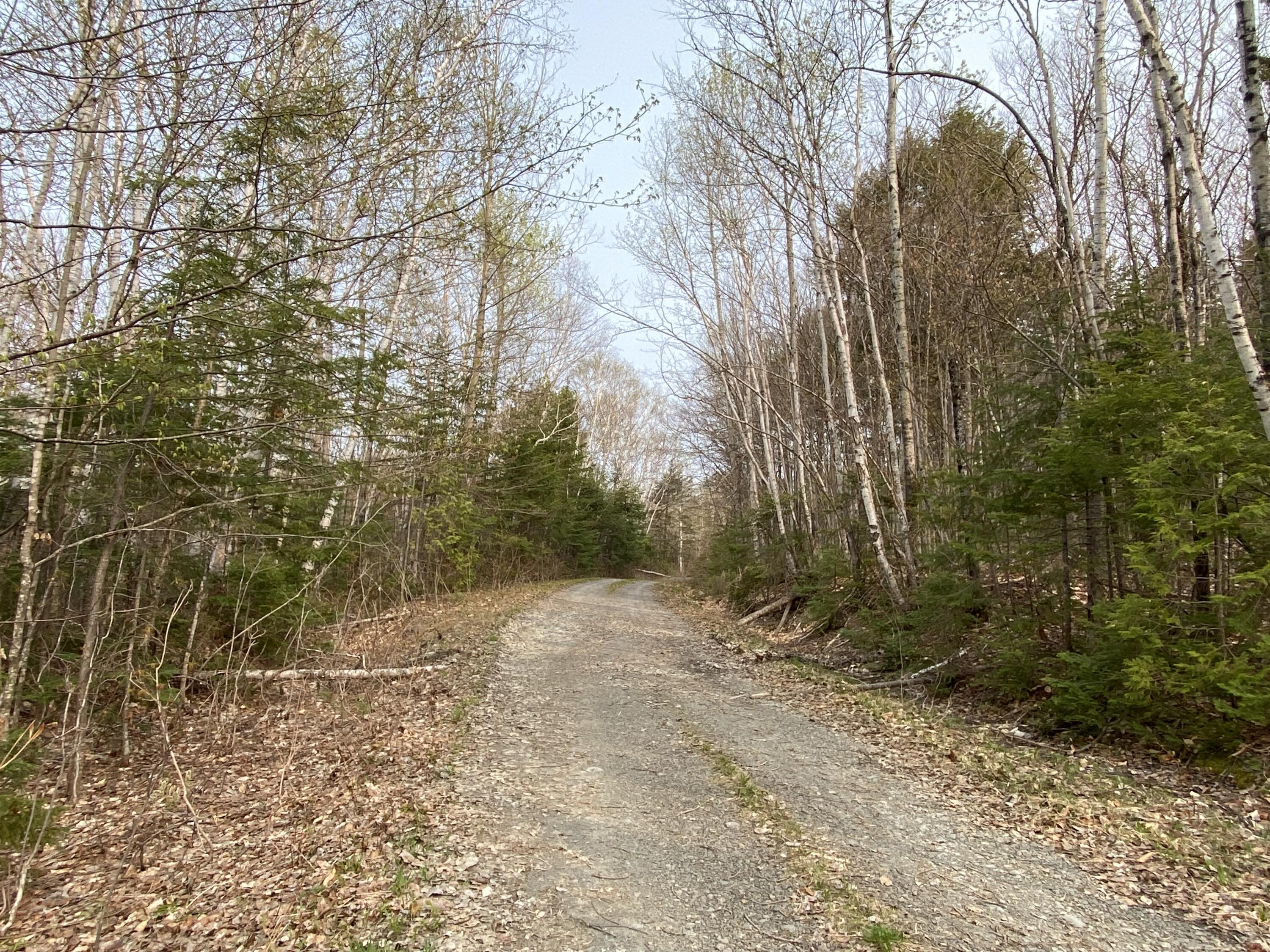 1 Square Lake Sinclair, ME 04779 - Photo 113 of 143 Fraser Camps
