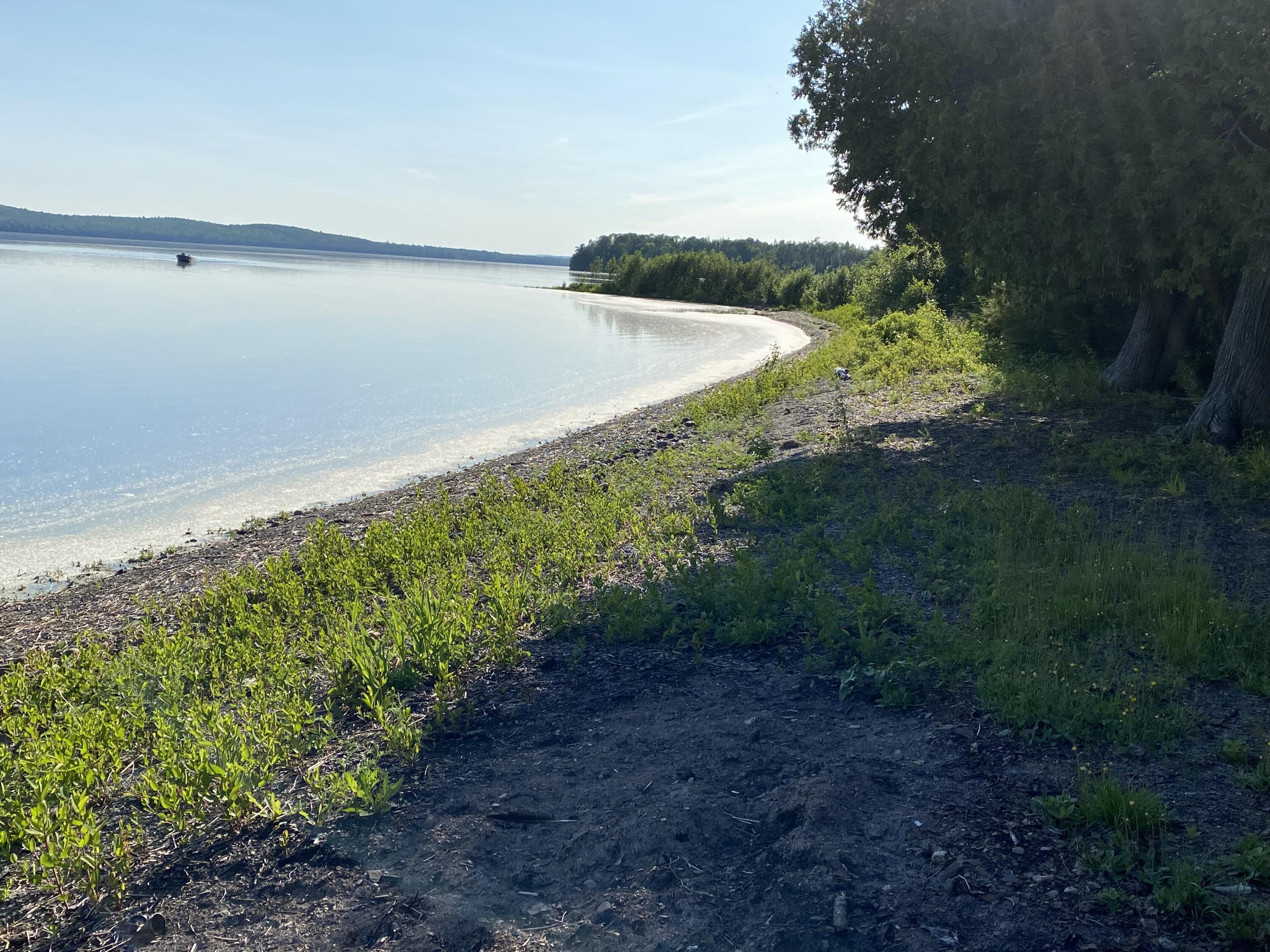 1 Square Lake Sinclair, ME 04779 - Photo 119 of 143 Fraser Camps