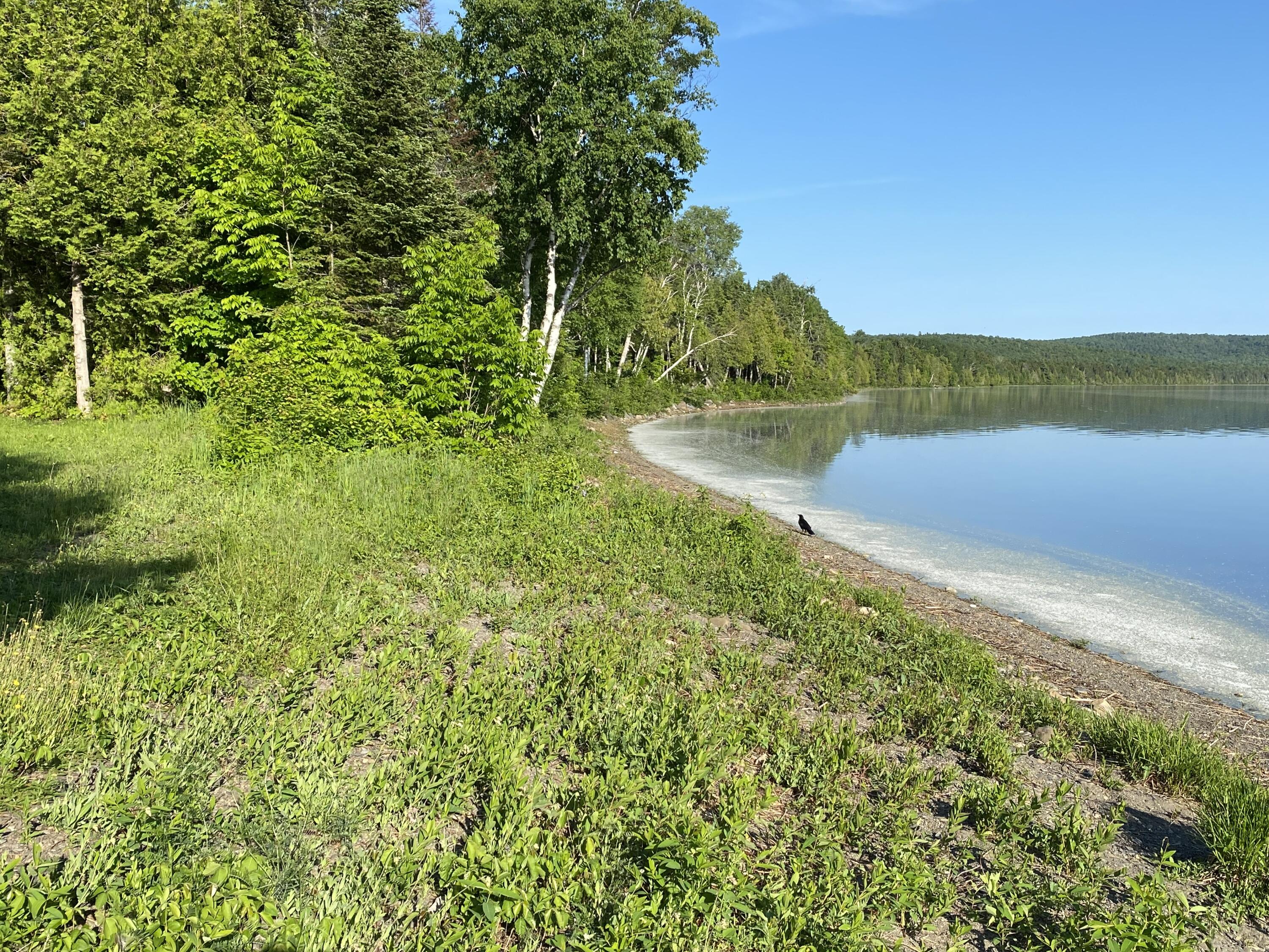 1 Square Lake Sinclair, ME 04779 - Photo 120 of 143 Fraser Camps