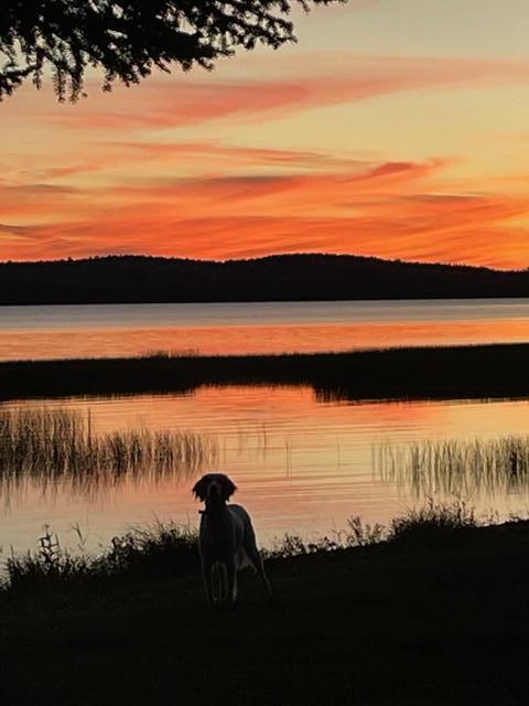 1 Square Lake Sinclair, ME 04779 - Photo 12 of 143 Fraser Camps