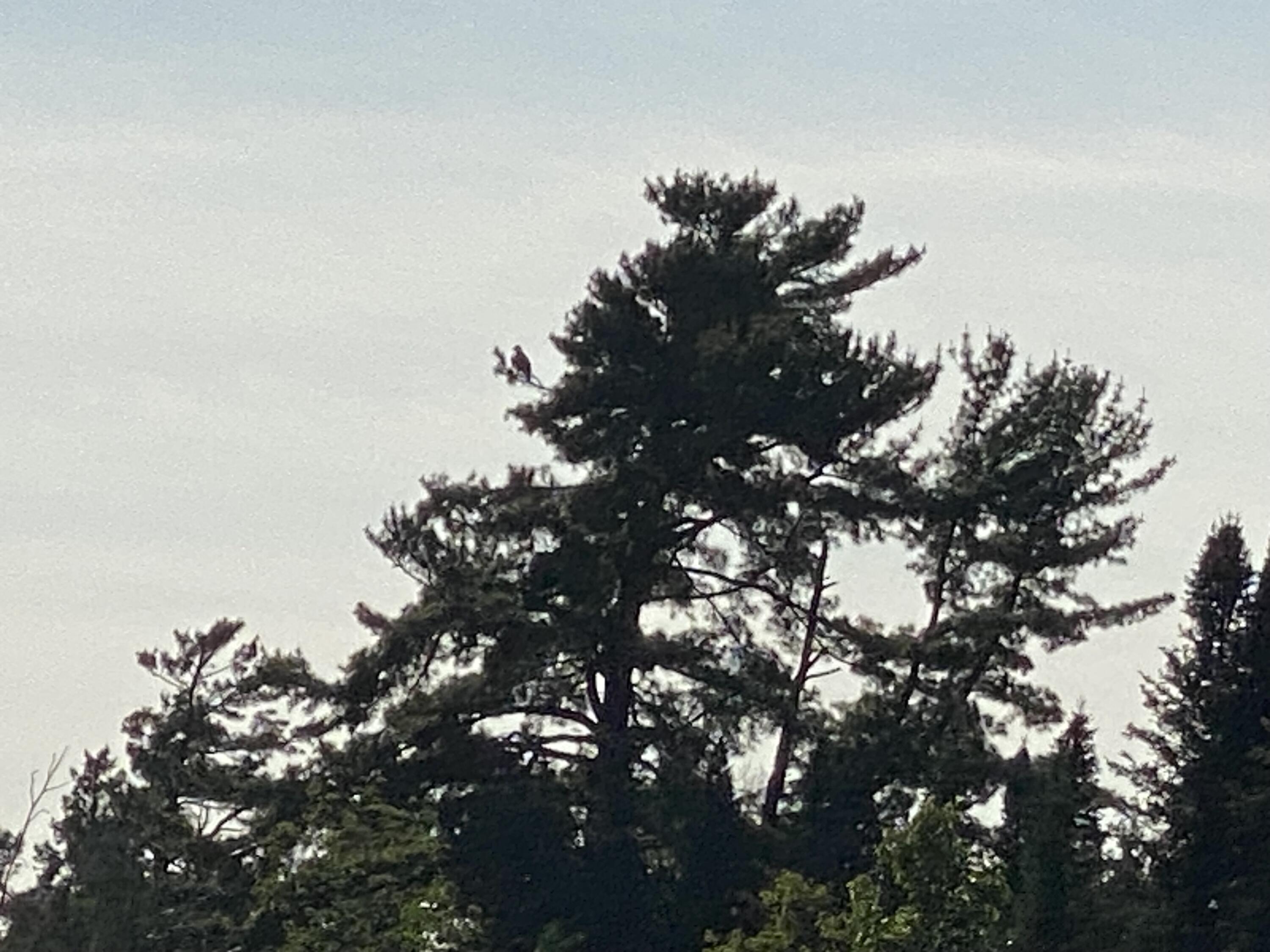 1 Square Lake Sinclair, ME 04779 - Photo 122 of 143 Fraser Camps
